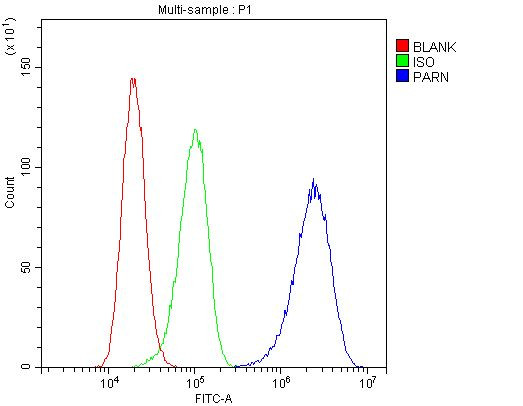 PARN Antibody in Flow Cytometry (Flow)