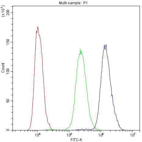 PDE4D Antibody in Flow Cytometry (Flow)