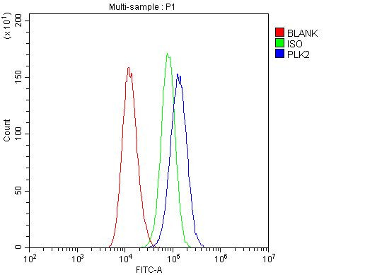 PLK2 Antibody in Flow Cytometry (Flow)