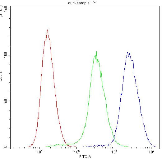 PNP Antibody in Flow Cytometry (Flow)