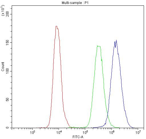 PNP Antibody in Flow Cytometry (Flow)