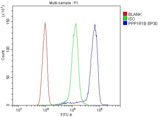 DARPP-32 Antibody in Flow Cytometry (Flow)