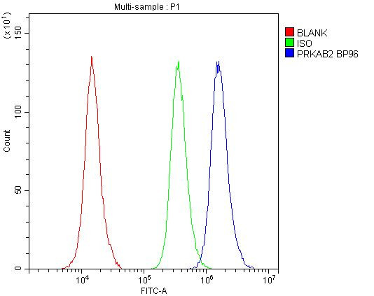 AMPK Beta-2 Antibody in Flow Cytometry (Flow)