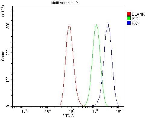 Paxillin Antibody in Flow Cytometry (Flow)