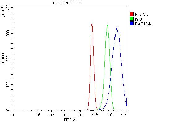 RAB13 Antibody in Flow Cytometry (Flow)