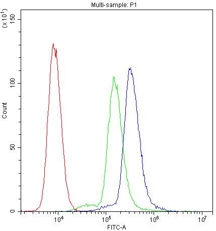 SCRIB Antibody in Flow Cytometry (Flow)