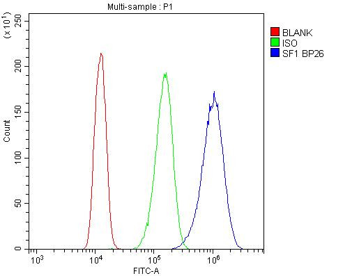 SF1 Antibody in Flow Cytometry (Flow)