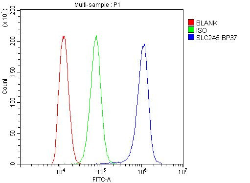 GLUT5 Antibody in Flow Cytometry (Flow)