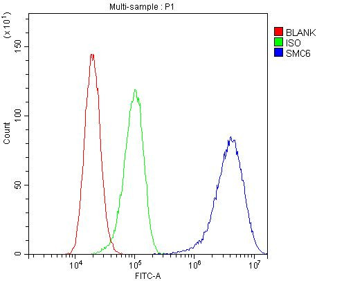 SMC6 Antibody in Flow Cytometry (Flow)