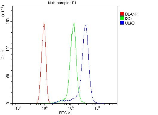 ULK3 Antibody in Flow Cytometry (Flow)