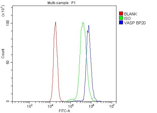 VASP Antibody in Flow Cytometry (Flow)