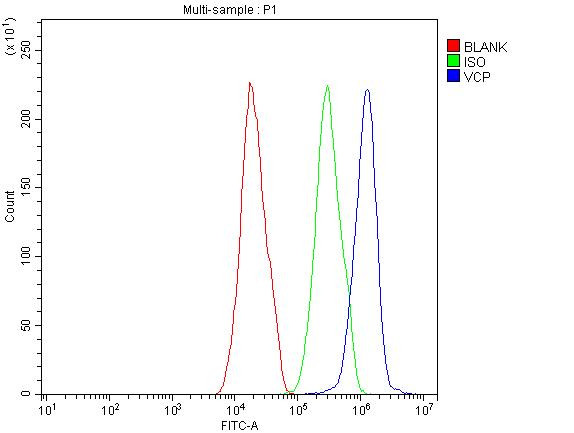 VCP Antibody in Flow Cytometry (Flow)