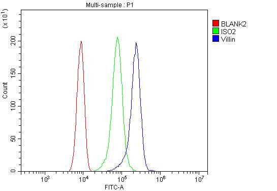 Villin Antibody in Flow Cytometry (Flow)