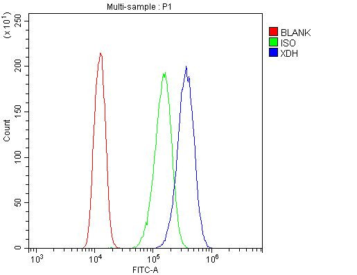 XDH Antibody in Flow Cytometry (Flow)