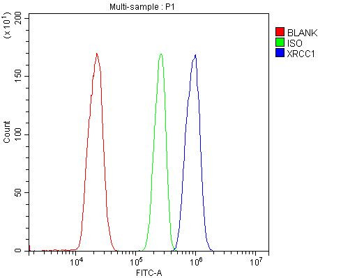 XRCC1 Antibody in Flow Cytometry (Flow)