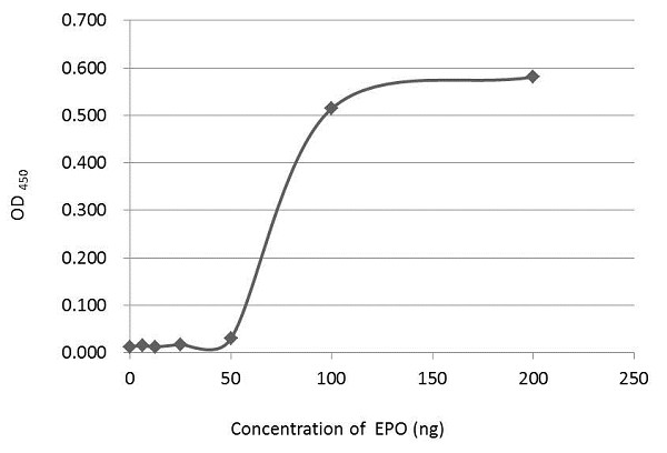 Epo Antibody in ELISA (ELISA)