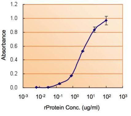 Nanog Antibody in ELISA (ELISA)