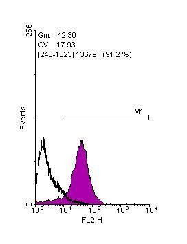 SOX2 Antibody in Flow Cytometry (Flow)