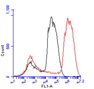 Arginase 1 Antibody in Flow Cytometry (Flow)