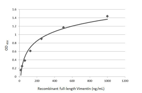 Vimentin Antibody in ELISA (ELISA)