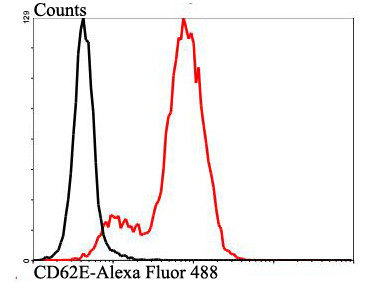 CD62E (E-selectin) Antibody in Flow Cytometry (Flow)