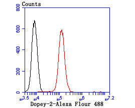 DOPEY2 Antibody in Flow Cytometry (Flow)