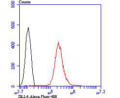 DLL4 (delta-like 4) Antibody in Flow Cytometry (Flow)