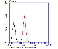 TNFAIP3 Antibody in Flow Cytometry (Flow)