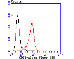 CD71 (Transferrin Receptor) Antibody in Flow Cytometry (Flow)