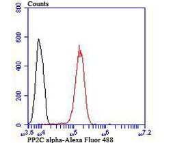 PPM1A Antibody in Flow Cytometry (Flow)