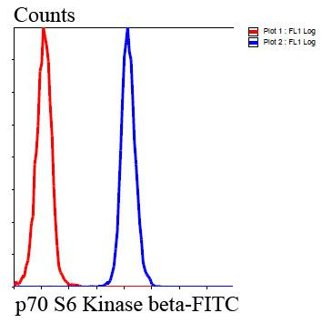 p70 S6 Kinase Antibody in Flow Cytometry (Flow)