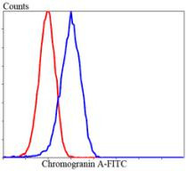 Chromogranin A Antibody in Flow Cytometry (Flow)