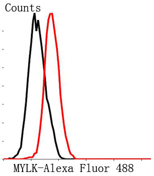 MYLK Antibody in Flow Cytometry (Flow)