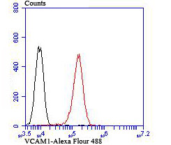 VCAM-1 (CD106) Antibody in Flow Cytometry (Flow)