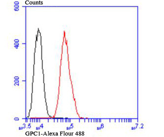 Glypican 1 Antibody in Flow Cytometry (Flow)