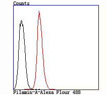 Filamin A Antibody in Flow Cytometry (Flow)