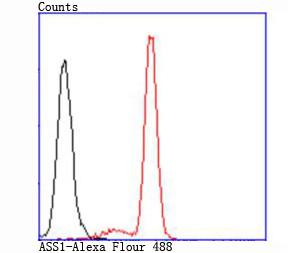 ASS1 Antibody in Flow Cytometry (Flow)