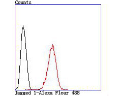 Jagged1 Antibody in Flow Cytometry (Flow)