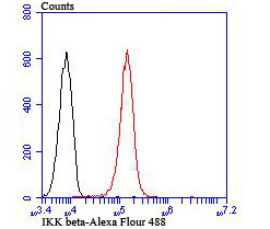 IKK beta Antibody in Flow Cytometry (Flow)