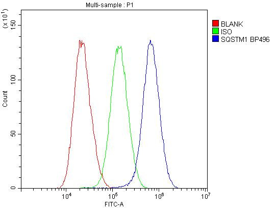 SQSTM1 Antibody in Flow Cytometry (Flow)