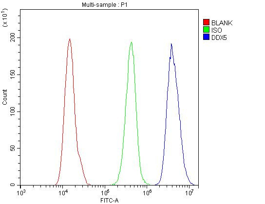 DDX5 Antibody in Flow Cytometry (Flow)