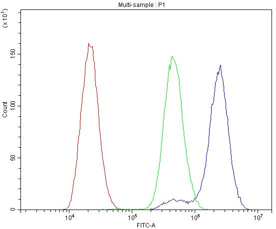 BDNF Antibody in Flow Cytometry (Flow)