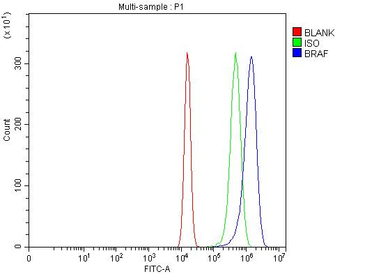 B-Raf Antibody in Flow Cytometry (Flow)