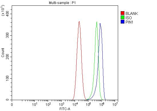 PIN1 Antibody in Flow Cytometry (Flow)