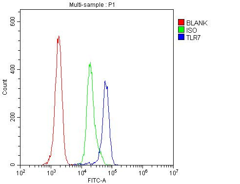 TLR7 Antibody in Flow Cytometry (Flow)