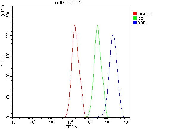 XBP1 Antibody in Flow Cytometry (Flow)