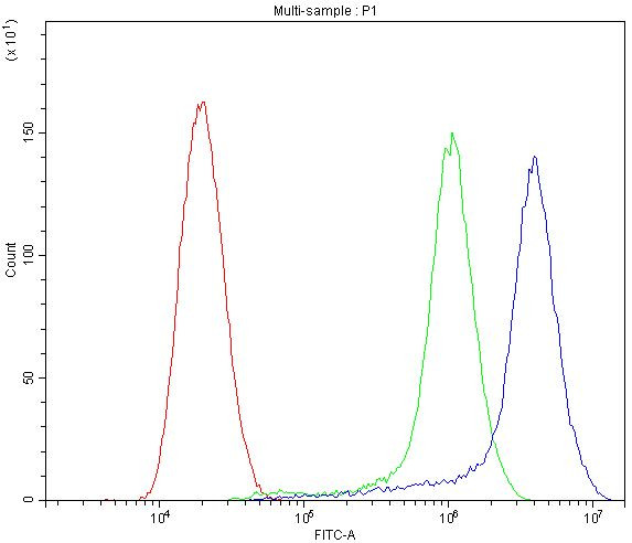 CYP1B1 Antibody in Flow Cytometry (Flow)