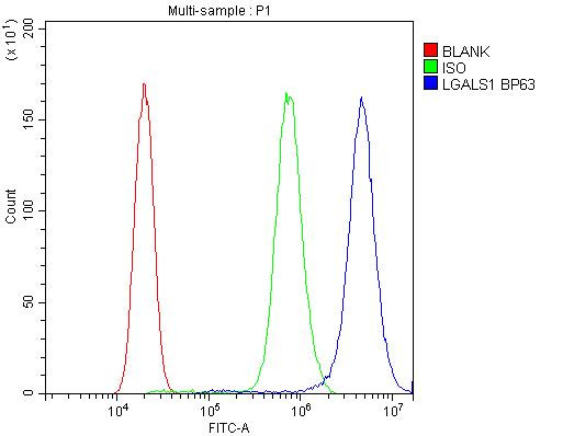 Galectin 1 Antibody in Flow Cytometry (Flow)