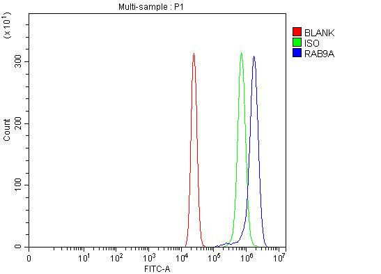 RAB9 Antibody in Flow Cytometry (Flow)