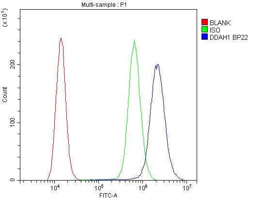 DDAH1 Antibody in Flow Cytometry (Flow)